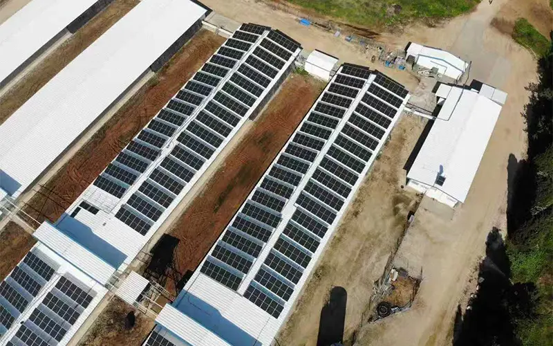 Greenhouse-Farm-1 (1)