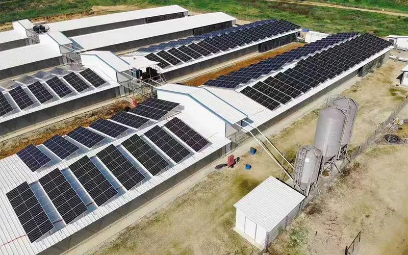 Greenhouse-Farm-2