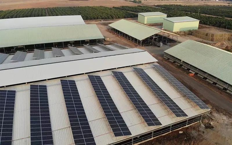 Greenhouse-Farm-6