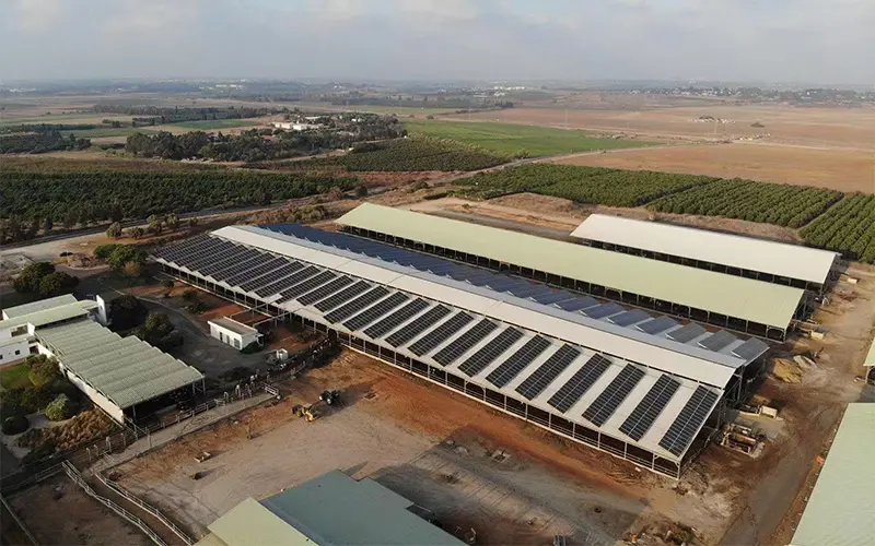 Greenhouse-Farm-7